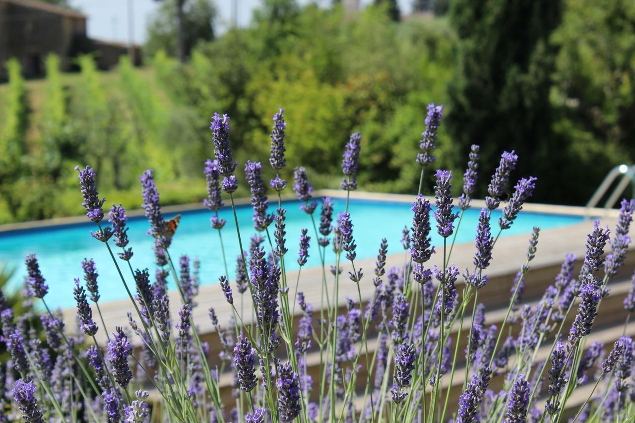 Villa Privata Per Famiglie O Amici Barberino di Val dʼElsa Exteriör bild